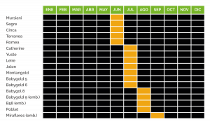 Disfrútala - Calendario de producción - melocotón amarillo